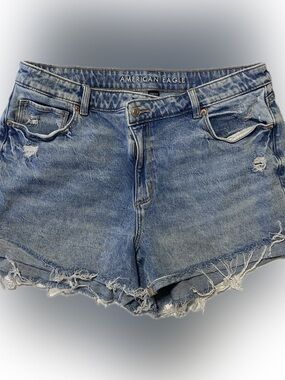 American Eagle Outfitters Light Blue Distressed Denim Cutoff Shorts